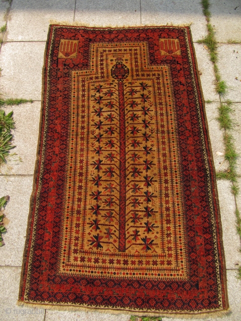 Antique camel ground Baluch prayer rug from North-East Persia , Khorossan province. Very good quality , lovely details like animals. Age : circa 1880 Size: ca 145cm x 85cm ( 4'8'' x  ...