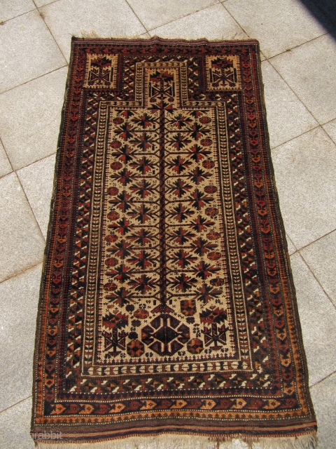 Antique camel ground Baluch prayer rug. 19th century. Fine drawing. Nice collector´s piece. Size: ca 160cm x 90cm ( 5'3'' x 3' )          