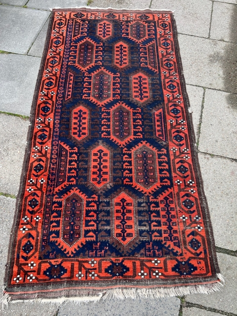 Outstanding antique Baluch rug. Archaic design with lots of different animals. Age: 19th century. Size: 200x100cm / 6’6ft by 3’3ft http://www.najib.de            