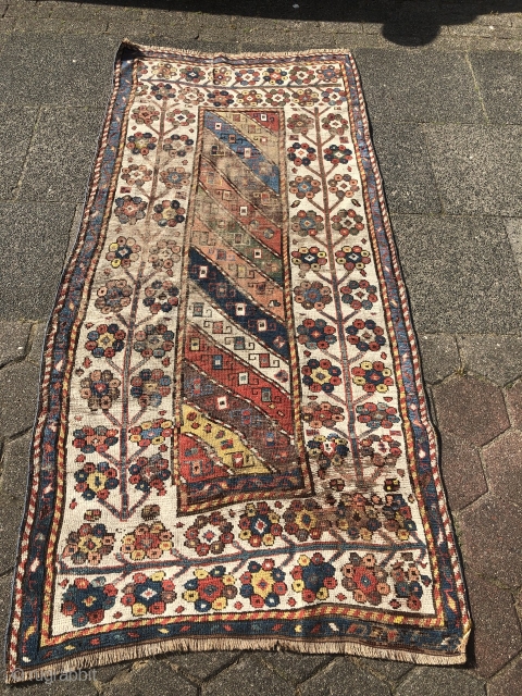 Antique Caucasian rug from an old German collection, good age, very nice colors and beautiful tree border. Age: 19th century. Size: ca. 227x111cm / 7'4''ft x 3'7''ft some condition problems but still  ...