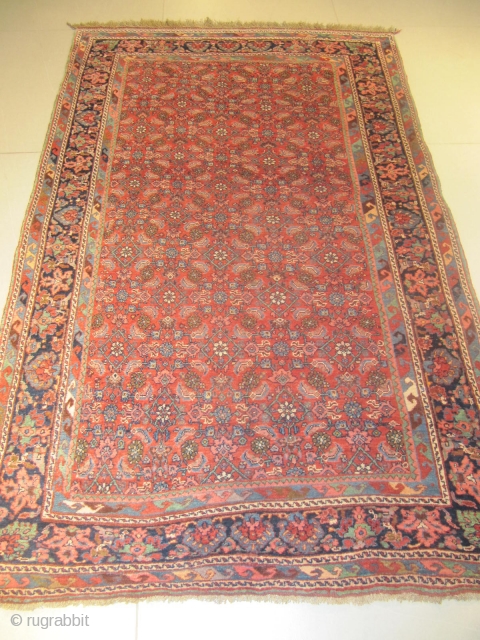 m) Bidjar Persian rug, 19th century, perfect condition
size: 225 X 140  /  7' X 4'                