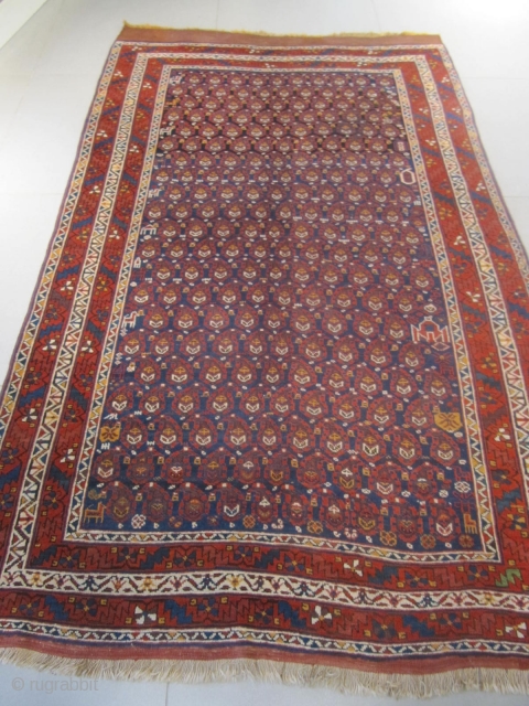 s) Afchar Persian tribal rug, 19th century, perfect condition,original kilims from both sides
size: 260 X 160  /  8' X 5'           