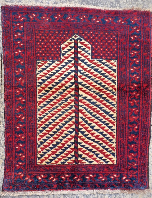 A squarish shaped Turkman Kizil Ayak prayer rug with the softest and shiniest wool you can think of. Very thick pile. A nice tree shaped motive in the central field contrasts with  ...