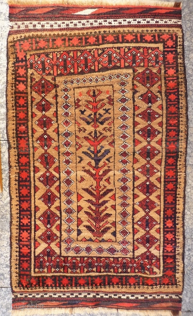 A fantastic Belouch rug with mainly undyed camel wool. It is loosely woven, with a floppy handle. The wool is lustruous, soft and shinny. The central tree is great with all the  ...