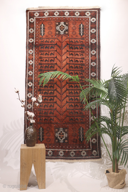 A very unusual design for this antique Baluch rug from Afghanistan. This rug from the 1920s sports a  surprising design with a central tree of life motif with camel caravans in  ...