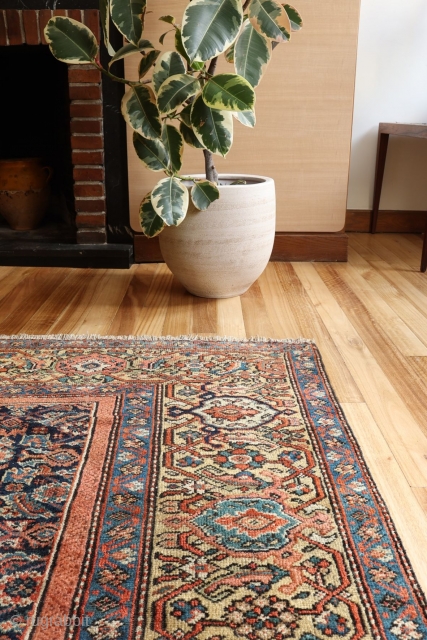 An unusual wide yellow border antique malayer rug from around 1870. One small low pile area where the warp and weft are exposed. Otherwise with low pile worn evenly. All natural dyes  ...