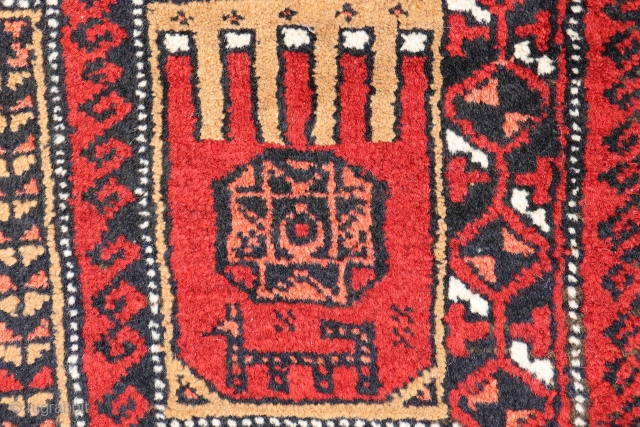 An unusual Persian Baluch prayer rug. Within the hand, a gül with an eight pointed star and a goat have been woven. Soft and shinny wool, with full pile, in mint condition,  ...