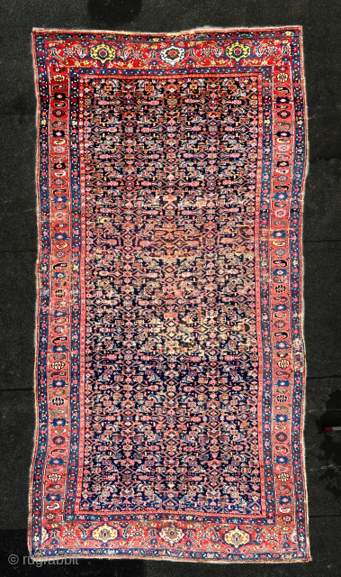 Large Mahal runner, 188x363 cm
ondrej@cityhouse.cz                            