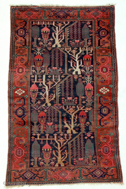 A Persian Bakhtiyar tribal rug
Age : End 19th century or 1st half of 20th century
size is 206 x 109cm or 6.9 x 4.2ft

For inquiries you can contact me by email or +92  ...