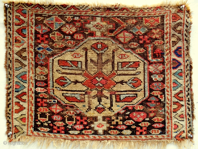 Moghan steppe Shahsavan bagface. Mid 19th c. Rare!                         