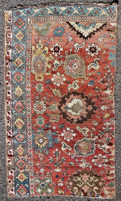 18th. c. Red ground Northwest Persian carpet fragment. 43" x 73". All wool.                    