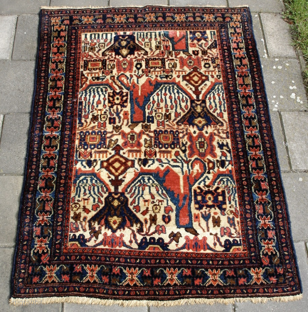 Senneh rug. Mysterious design with stunning colors. 

141cm x 103cm                       