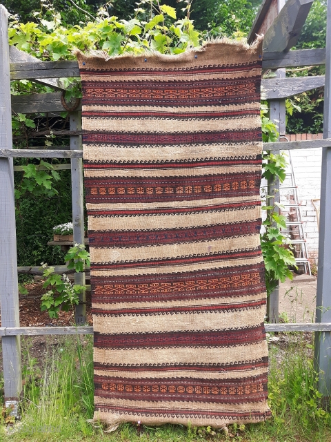 Distinctly rustic Qala-i-Now Afghan kilim. 6ft long. Worn a bit thin in places and has clearly lived an interesting life.             