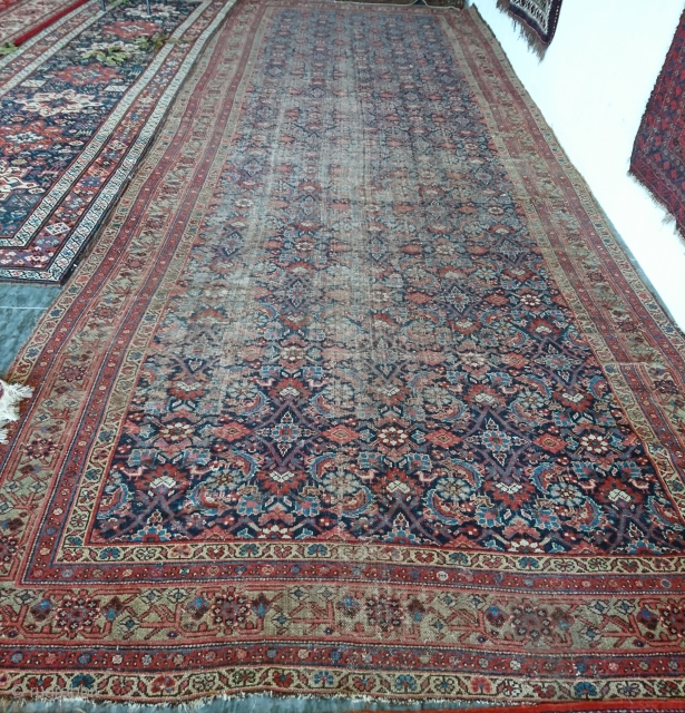 Fereghan carpet, natural   color  208x508cm 1300usd                        