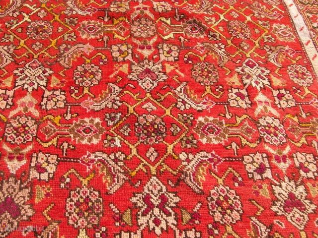 Karabagh, herati pattern, wool on wool, cm. 184 x 120, perfect.                      