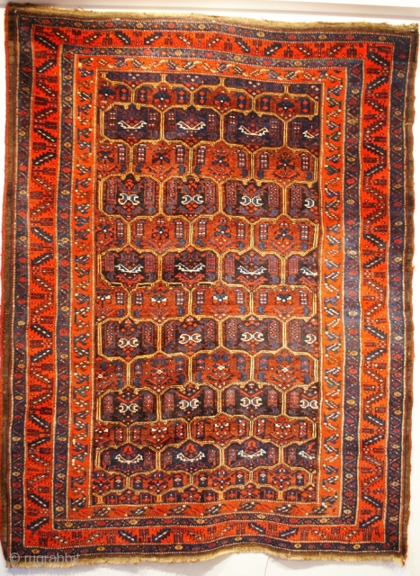 Kurdish rug 3.7 x 5.6                            