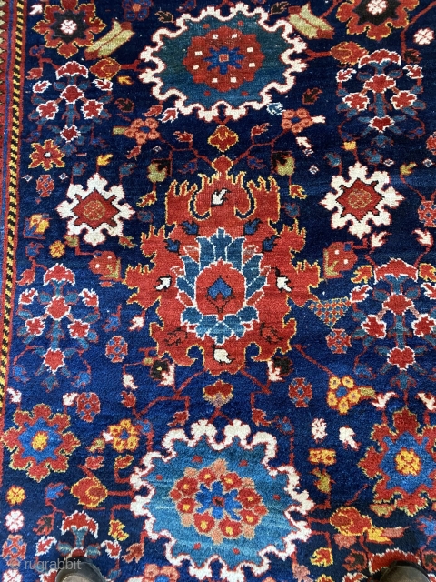 Kurdish Sauj Bulaq carpet featuring a beautiful Harshang design, 2nd half 19th C., 12' x 5'2", in excellent condition. Minor losses to ends. Full pile with small areas of light wear.   ...