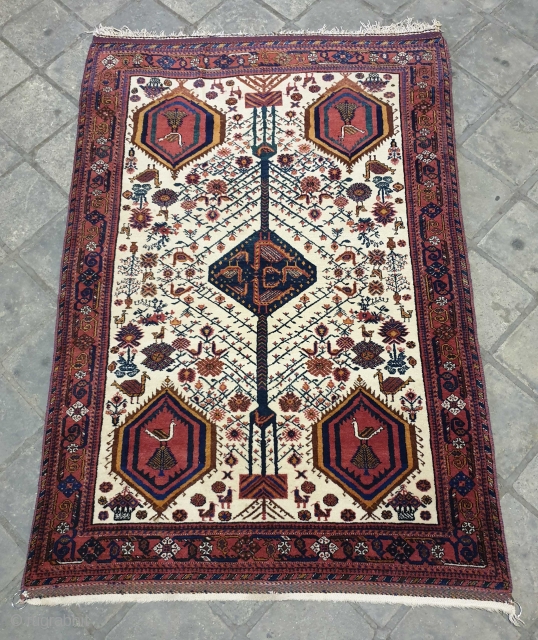 Magnificent Neiriz rug which has similarities with Afshar piled weavings.
There's an enchanting greenish blue colour in central medallion which is home to numbers of birds ( peacocks ) 
Ivory colour on field  ...