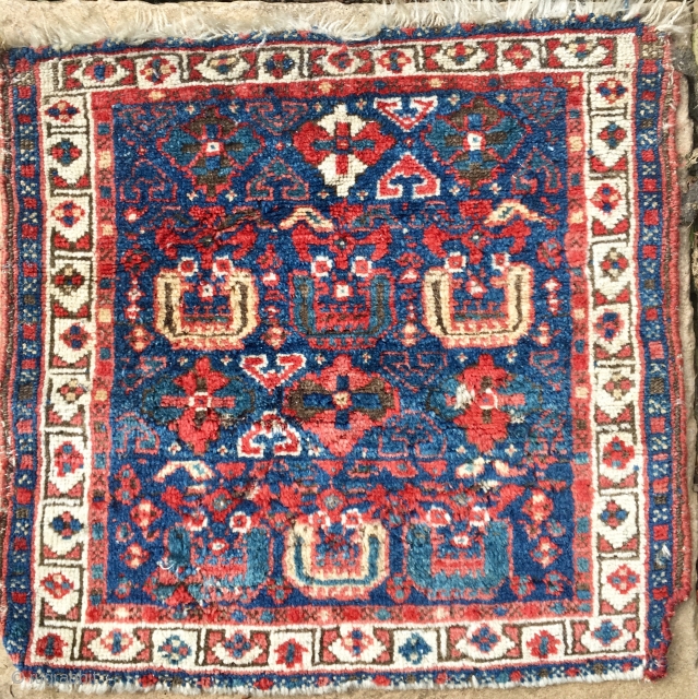 NWPersian Kurdish Bagface 55*52cm Circa 1880
Long lustrous pile some small repairs edges over bound
Pay PayPal   postage included   for UK only  
SOLD       