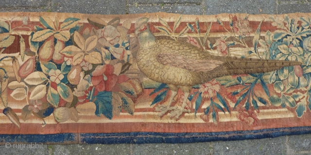 Tapestry panel with a pheasant, 17th c., 226 x 49 cm.                      