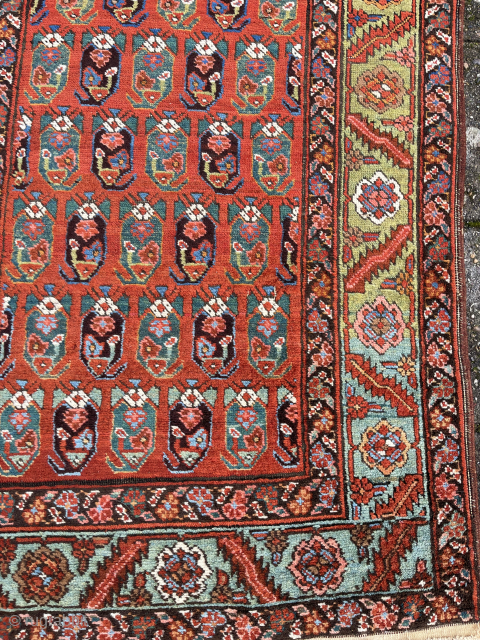 Antique Bakhshaiesh Rug, 232 x 93 cm., ca. 1900. Former private collection of mr. Gans, co-writer of the Gans-Ruedin rug books.            