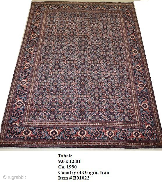 Tabriz
9.0 x 12.01
Ca. 1930
Country of Origin: Iran
Item # B01023                        