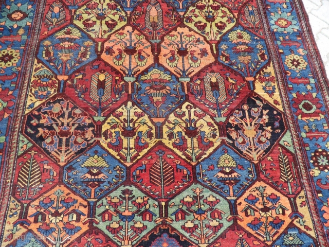 19th century Bakhtiari.  Super saturated colors.  Approximately 12'6"x7'1".                       