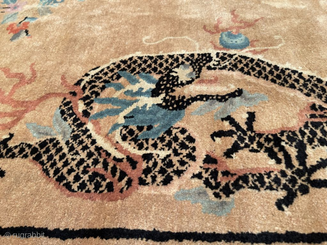 This late 19th century Peking Chinese Oriental Rug #8048 measures 5’3” X 7’11”. It has a sand colored background containing 2 facing dragons. Their scales are done in black. They have white  ...