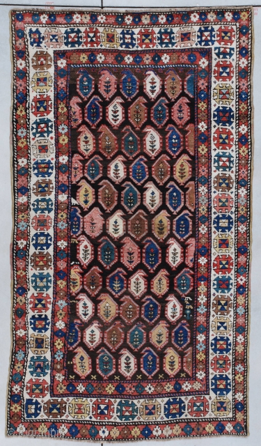 This circa 1890 Caucasian Kazakh #7320 carpet measures 4’4” x 7’6” (134 x 231 CM). It is multicolored on an abrashed brown field with lots of cute little asymmetric surprises in the  ...