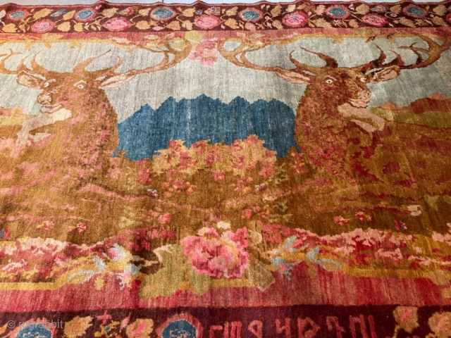 This circa 1900 oversized Armenian Carpet #8106 measures 5’2” X 12’4”. It has two reclining stags with huge antlers staring out at the room as they relax in a forest setting with  ...