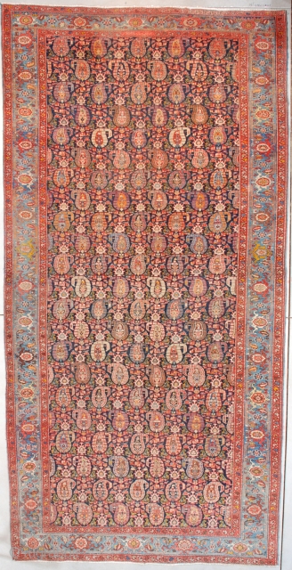 #7558 Heriz

This circa 1910 antique Heriz Oriental Carpet measures 6’10” X 13’9” (210 x 423 cm). This to my eye is a unique Heriz. I have never seen this design in a  ...