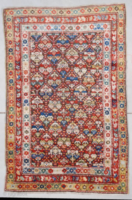 This third-quarter 19th century Kurd Kazak antique Oriental Rug #7517 measures 4’4” X 6’8” (134 x 207 cm). This rug is a real stunner. The latch hook design contains various flower forms  ...