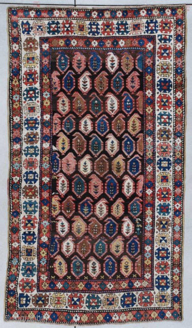 This circa 1890 Caucasian Kazak #7320 carpet measures 4’4” x 7’6” (134 x 231 CM). It is multicolored on an abrashed brown field with lots of cute little asymmetric surprises in the  ...