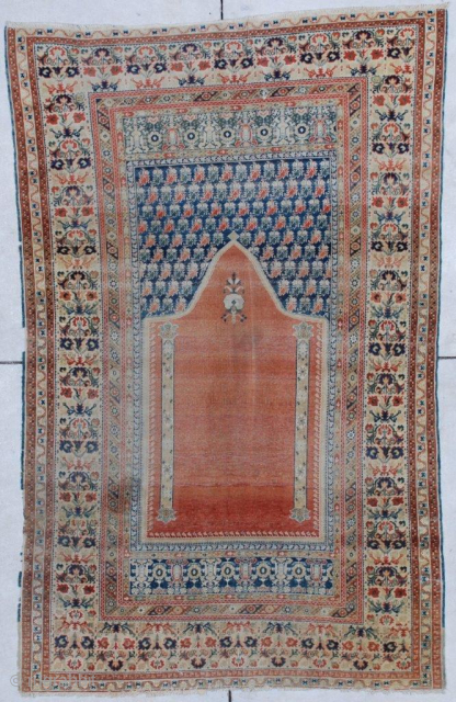 This 18th century Ghordez (Ghiordes) #6856 antique Turkish oriental rug measures 3’6” X 5’8”. It is a spectacular example of 18th century Turkish weaving.  It has a nicely variegated prayer design  ...