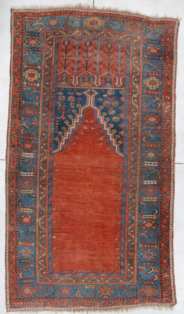 This lovely Turkish Ladik #5988 measures 3’10” X 6’11”. It dates from the 18th century.  It’s all there… The tulips at the top, the spandrels filled with a ewer used for  ...