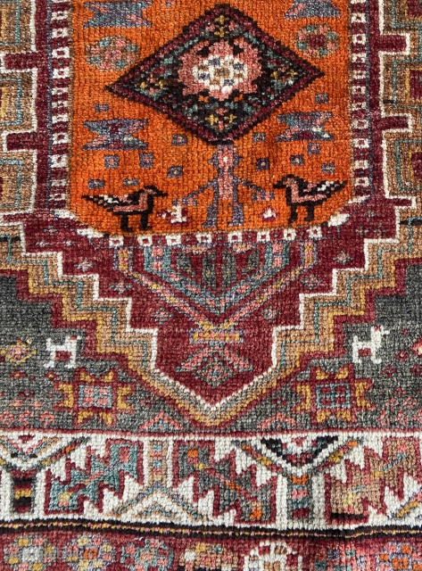 19th Century Kurdish rug by Herki nomads. Excellent wool quality. Great vegetable dyes and natural color. Full woool and full pile excellent condition. 130x204cm/4.26x6.7 feet size. Collection piece. Available    