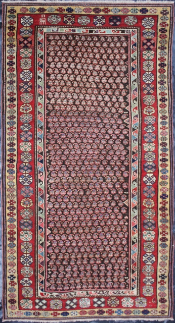 Antique Caucasian Rug


Category: 	Antique
Origin: 	Caucasian 
City/Village: 	Caucasia
Size cm: 	114 x 240
Size ft: 	3'9'' x 8'0''
Code No: 	F1166
Availability: 	In Stock
Price: 	On Request

This rug is over hundred year’s old and very good condition  