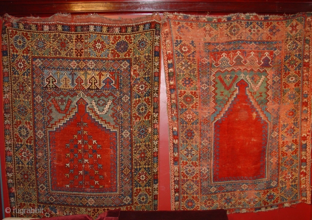 Exhibition Announcement: Turkish Prayer Rugs,  Part 1 from Jim Dixon's Hesperides Collection.
Click on the link or look in Rugrabbit's Exhibitions section to view. http://www.rugrabbit.com/node/21977
        