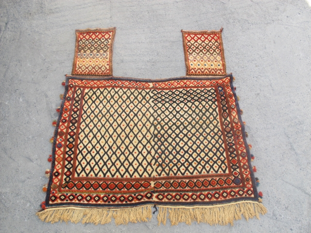 Nice Avsar horse blanket 19. Century                           