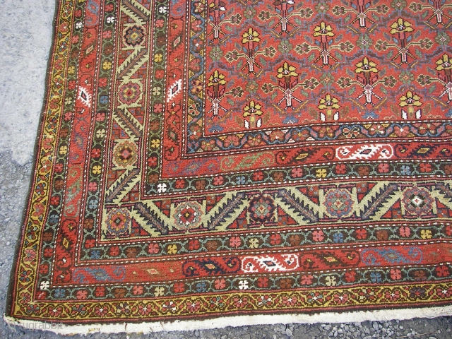 Antique Malayer Main carpet wonderful colours and very good condition all orginal size: 5,00 X 2,10 cm                