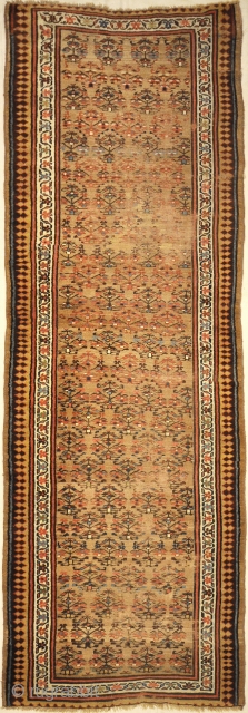 Antique Sarab Rug
3'9" x 11'2"                            