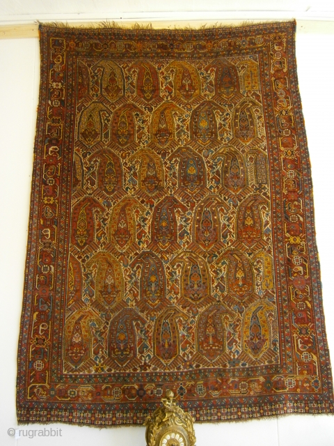 Magnificent antique Khamse rug. 205x145cm (6,7x4,8ft). Ca 1910, in very good condition.
                     