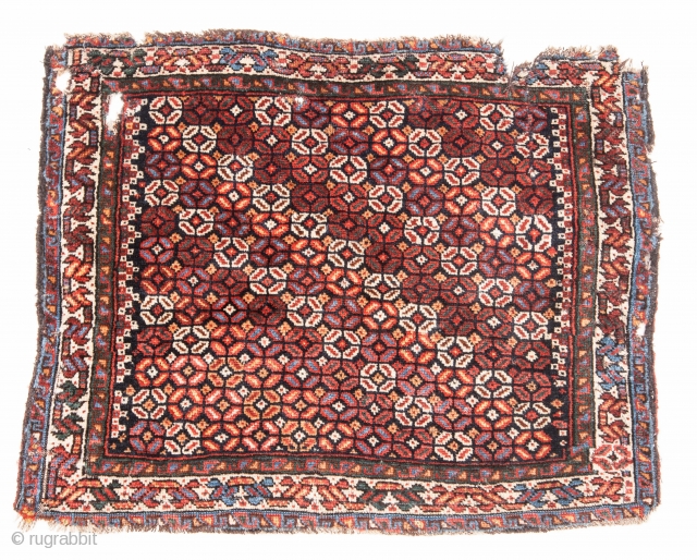 South Persian Bagface 51 x 63 cm / 20 x 24 inches                     