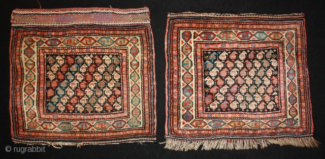 rare pair of Veramin Bagfaces with natural colors, 19th century, each 48x45cm                     
