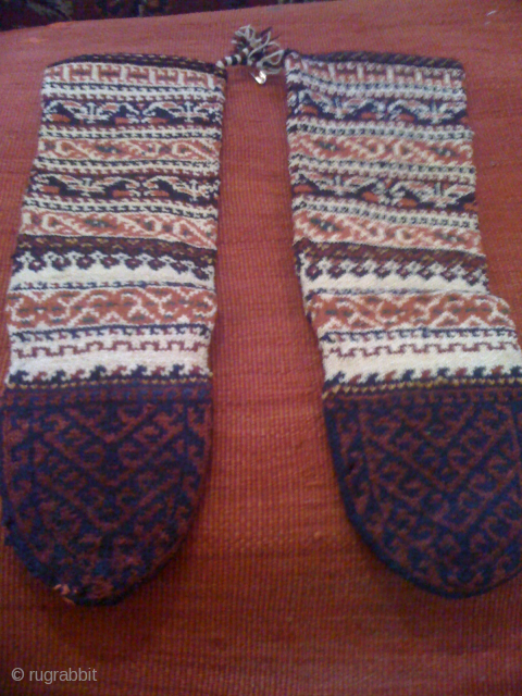 wool socks                               