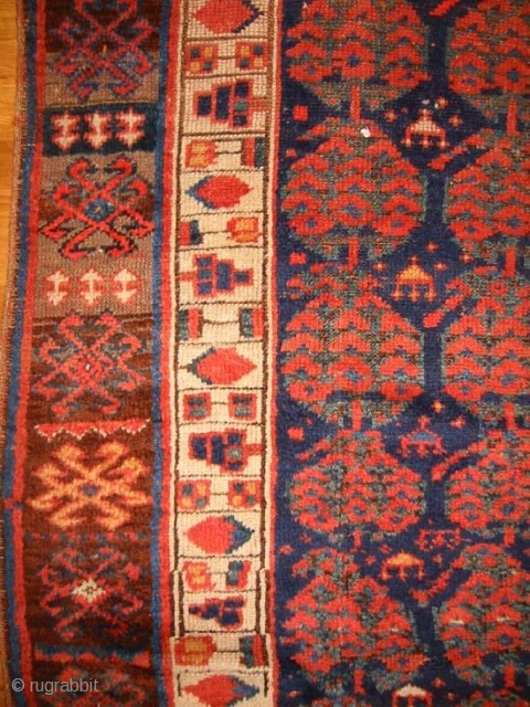 A Kurd Boteh Rug                             