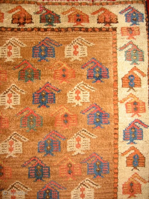 A Baluchi on Camel Ground with colorful botehs                         