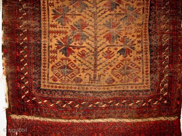 Old Baluch Prayer Rug with distinct brocaded ends                         