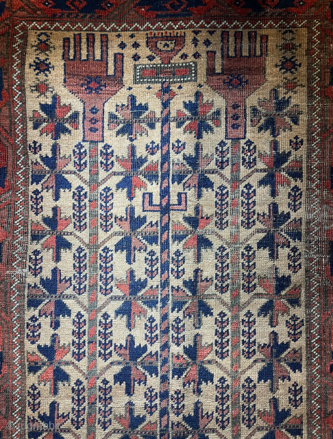 Antique Baluch. Late 19th Century                            