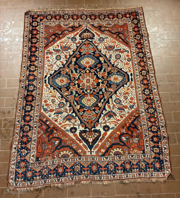 South Persia rug.
184 x 134 cm.
For more photos and information ask.
I live in Florence, Italy.                  